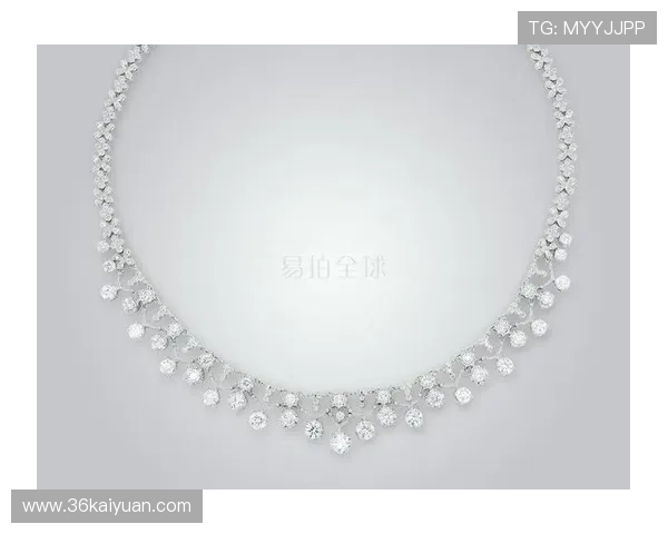 探索白金会官方网：全面了解其功能与优势